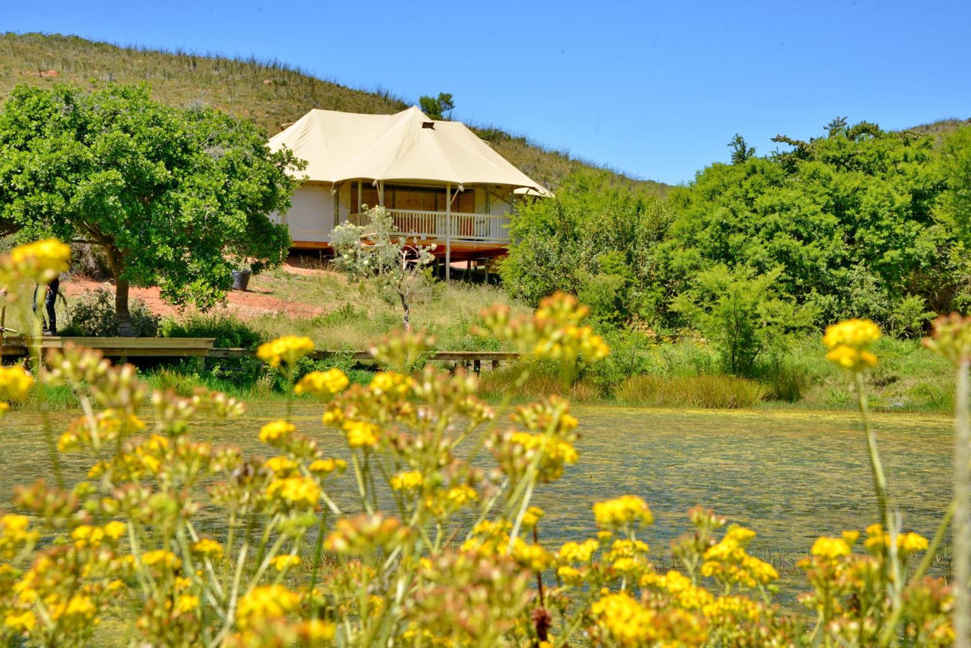 Hotel Garden Route Safari Camp Mossel Bay Zewnętrze zdjęcie